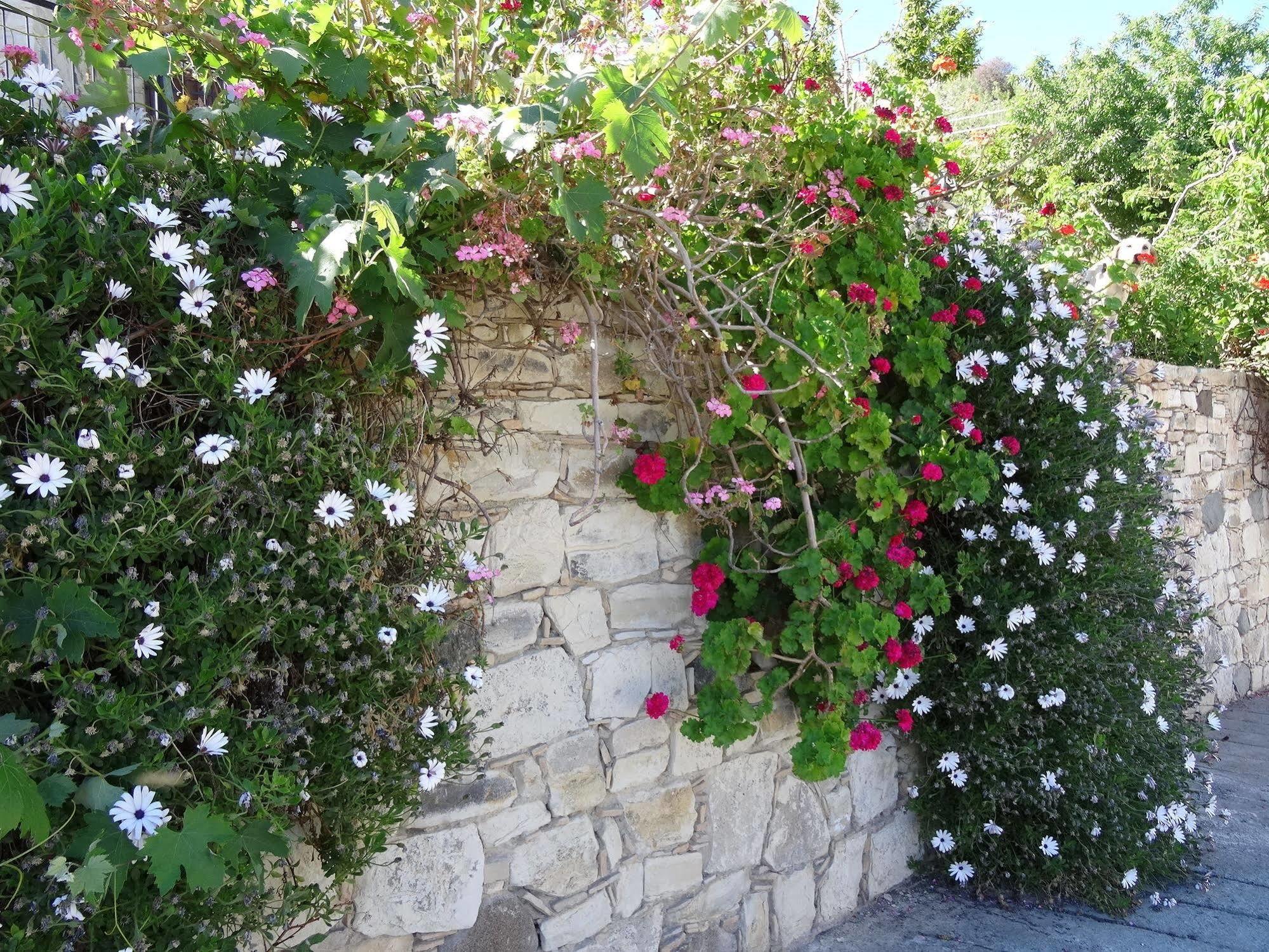 Blue Cottage Apsiou Exterior foto